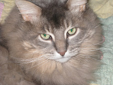 My Kitty(: