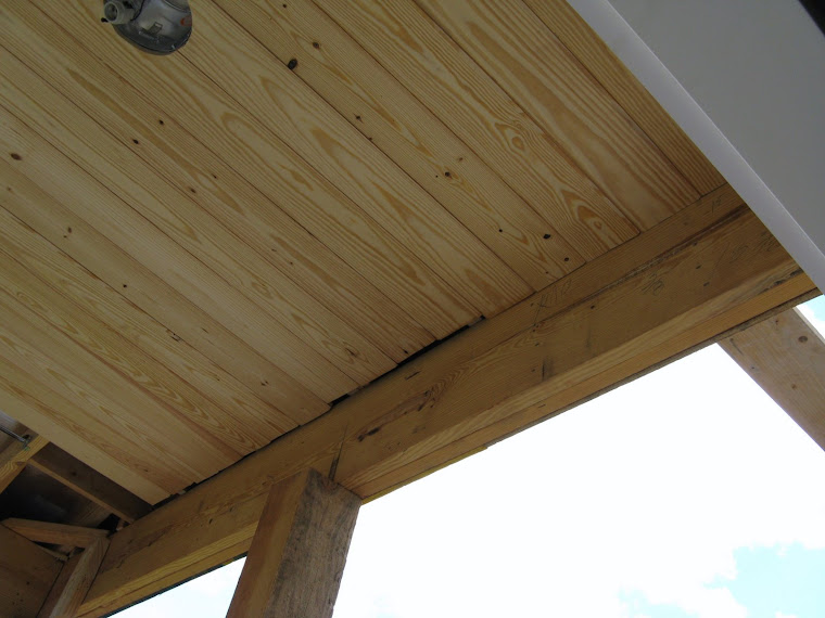 Screened in Porch Ceiling