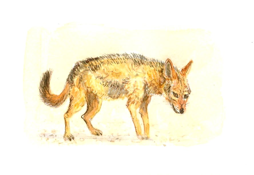 [Digitalizar0005.jpg]