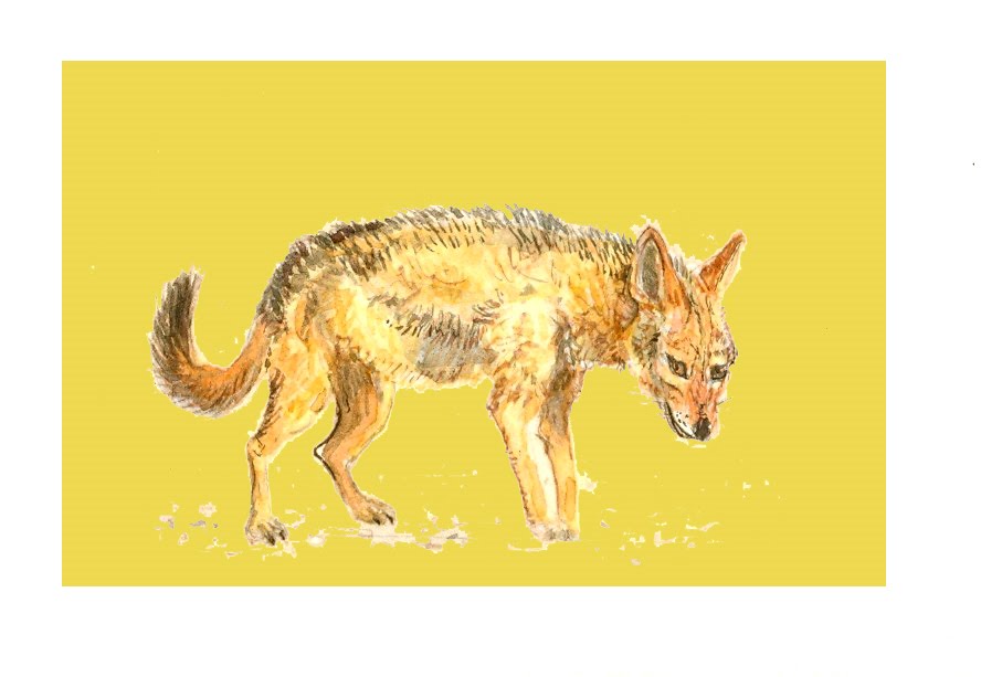 [Digitalizar0005+-+Cópia.jpg]