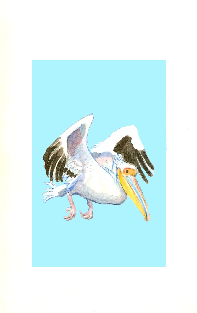 [Digitalizar0001.jpg]