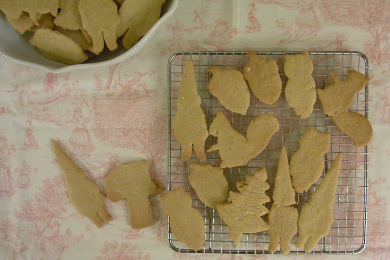 [forest+biscuits+c.jpg]