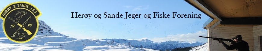 Herøy og Sande JFF