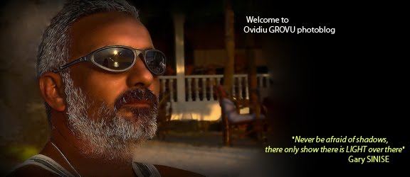 Ovidiu GROVU