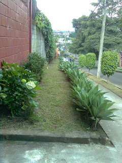 MANTENIMIENTO Y DISEÑO DE JARDINES: Tipos de espacio en el jardín