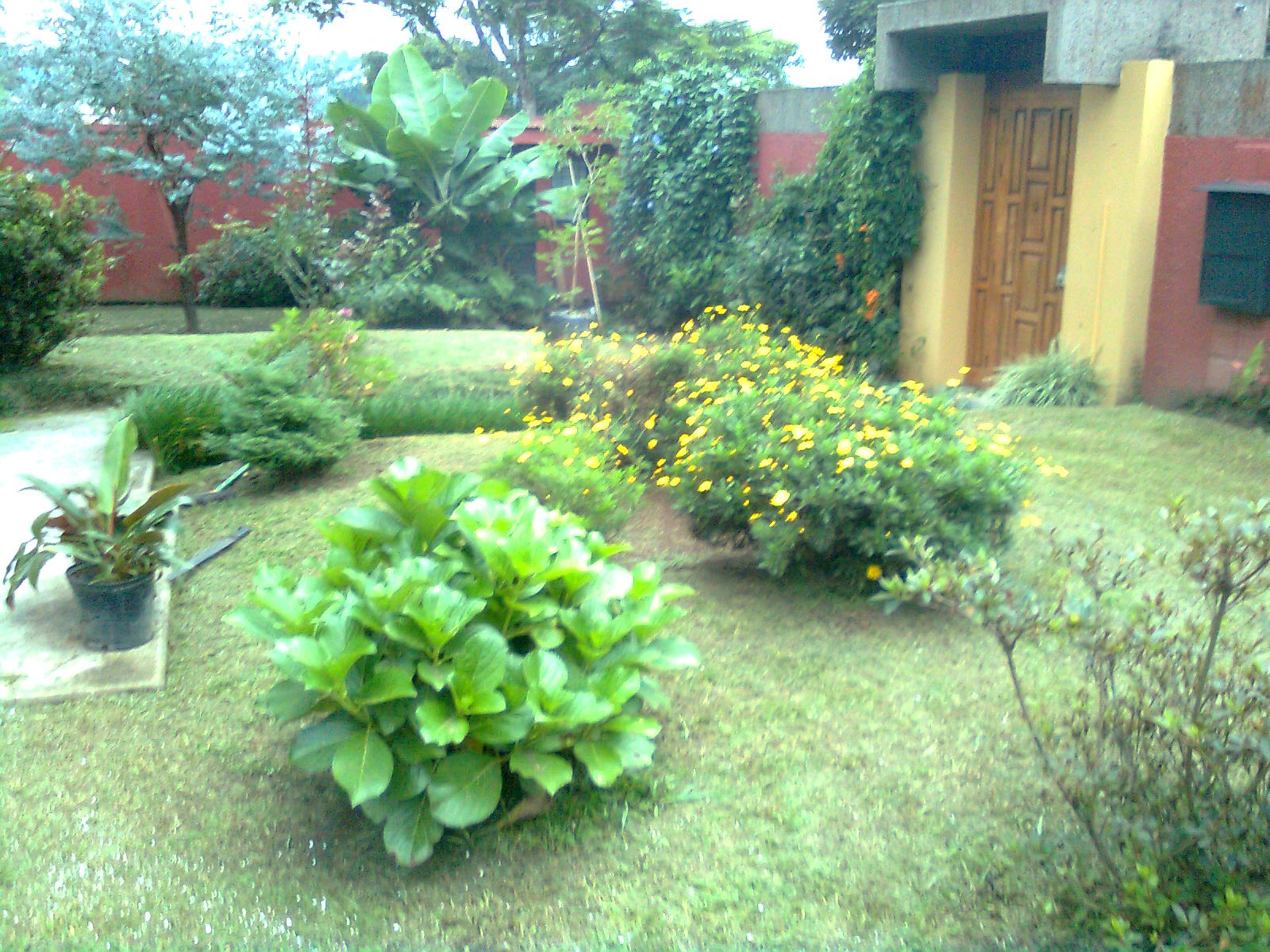 MANTENIMIENTO Y DISEÑO DE JARDINES: Tipos de espacio en el jardín