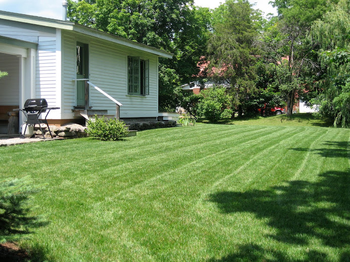 Back Lawn