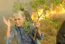 Σε πύρινο κλοιό η Β.Α. Αττική