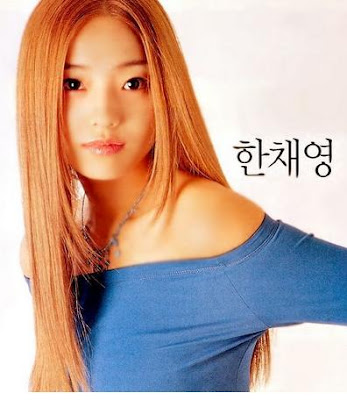 hey hey hey: [ Han Chae-Young ] Before & After Plastic Surgery