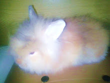 FLUFFY ANGGORA