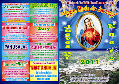 TRADICIONAL FESTIVIDAD EN HOMENAJE A LA "VIRGEN MARIA" EL 27 DE ENERO EN AUCAMPI - LOS ESPERAMOS...