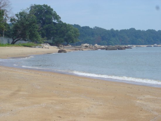 Tanjung Pedara