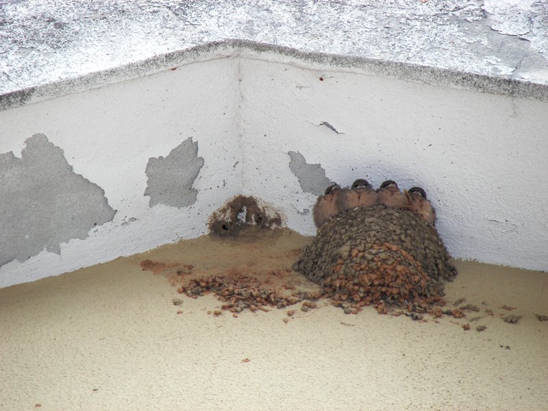 [Colmand+002+(2).jpg]