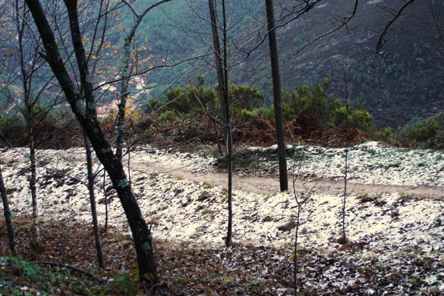 [Inverno+2008+(10).JPG]