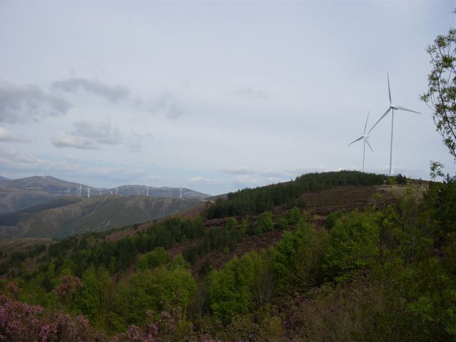 [Caminhada+UPFC+008.jpg]