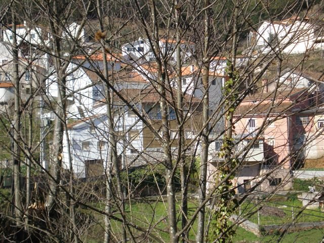 [Col+Sobreiros+I.jpg]