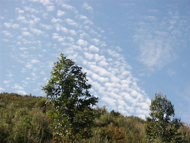 [ColmMai0922+009.jpg]