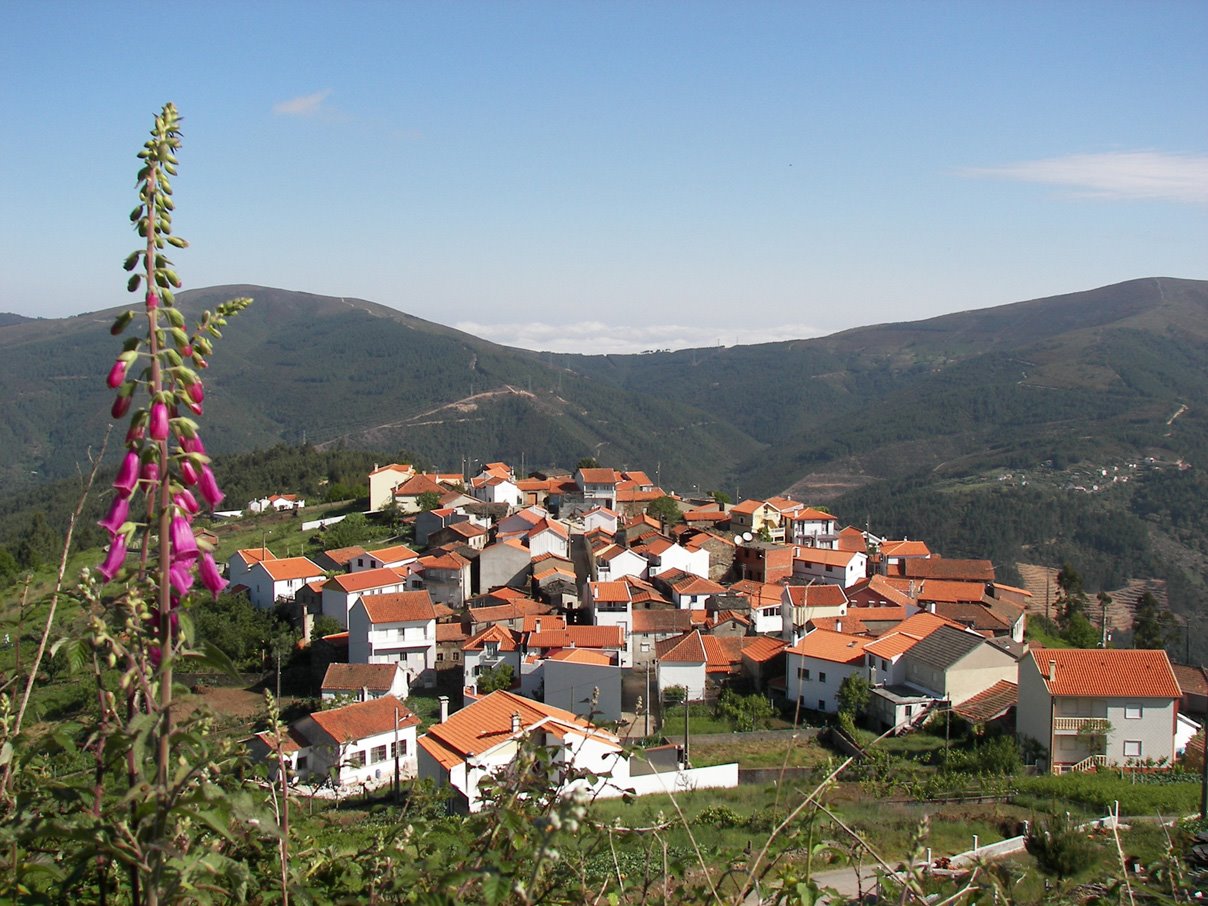 [ColmMai0922+004.jpg]