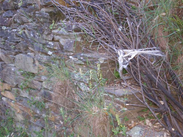 [Fazenda+vedada.jpg]