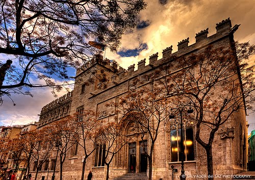 [3190396893_7031a1a69c.jpg]