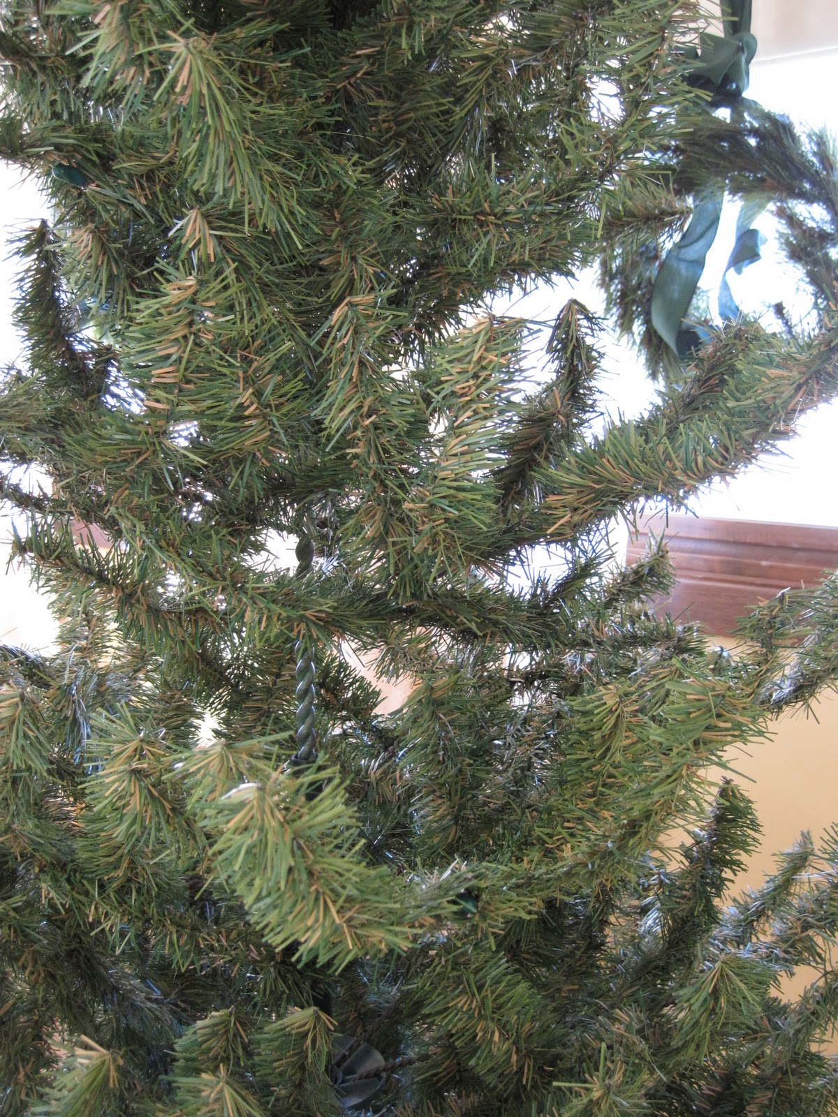 On Crooked Creek Old Christmas Tree.