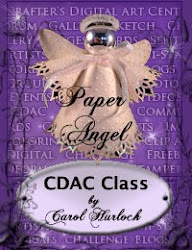CDAC Angel Class