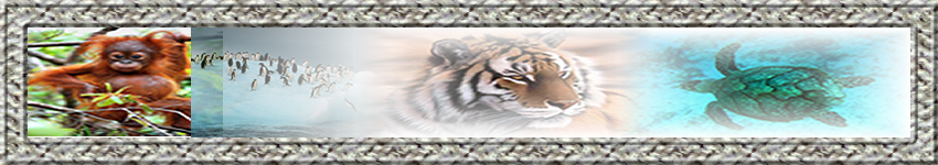 Animalitos en via de extinción