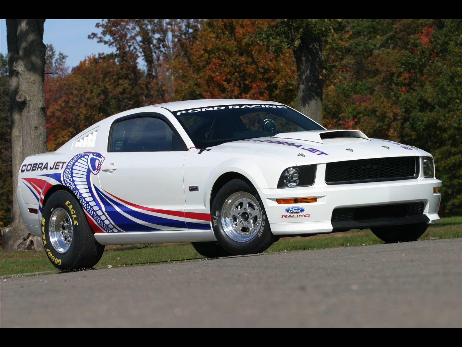 Super Cobra Jet Ford Mustang Mach 1 Rescued From Storage - Design Corral