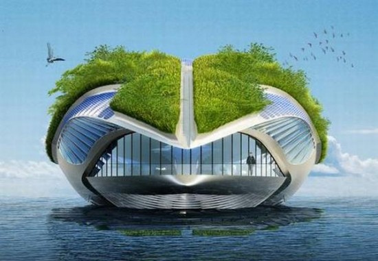 [physalia4-550x381.jpg]