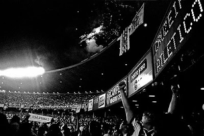 2658894761 f038a55461 - Solta as feras