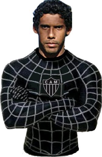 [GALO+ARANHA.jpg]