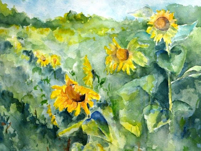 Long Island Sunflowers