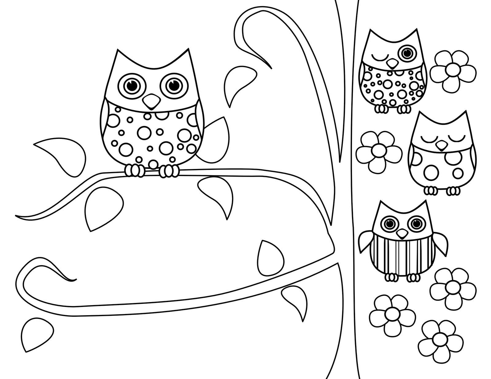 baby big eyed owl coloring pages - photo #11