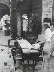 "LE VOYEUR" FOTO VICENTE DE PERCIA