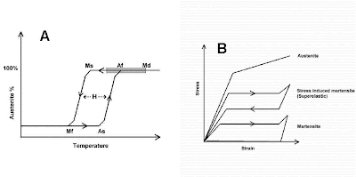 SMA Group: Fundamental Characteristics of Shape Memory Alloys
