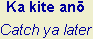 Ka kite anō - Catch ya later