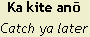 Ka kite anō – Catch ya later