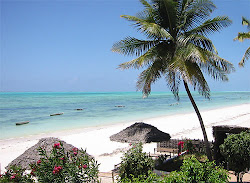 The beautiful island in Africa "Zanzibar"