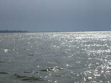 ALTURA DE LOS RIOS
