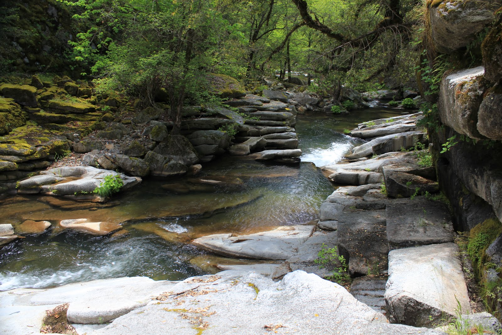 Wrangler For Sale >> Swimming Holes of California: Oregon Creek, CA (Sierra Classic, 2010) Wrangler For Sale >> Swimming Holes of California: Oregon Creek, CA (Sierra Classic, 2010)