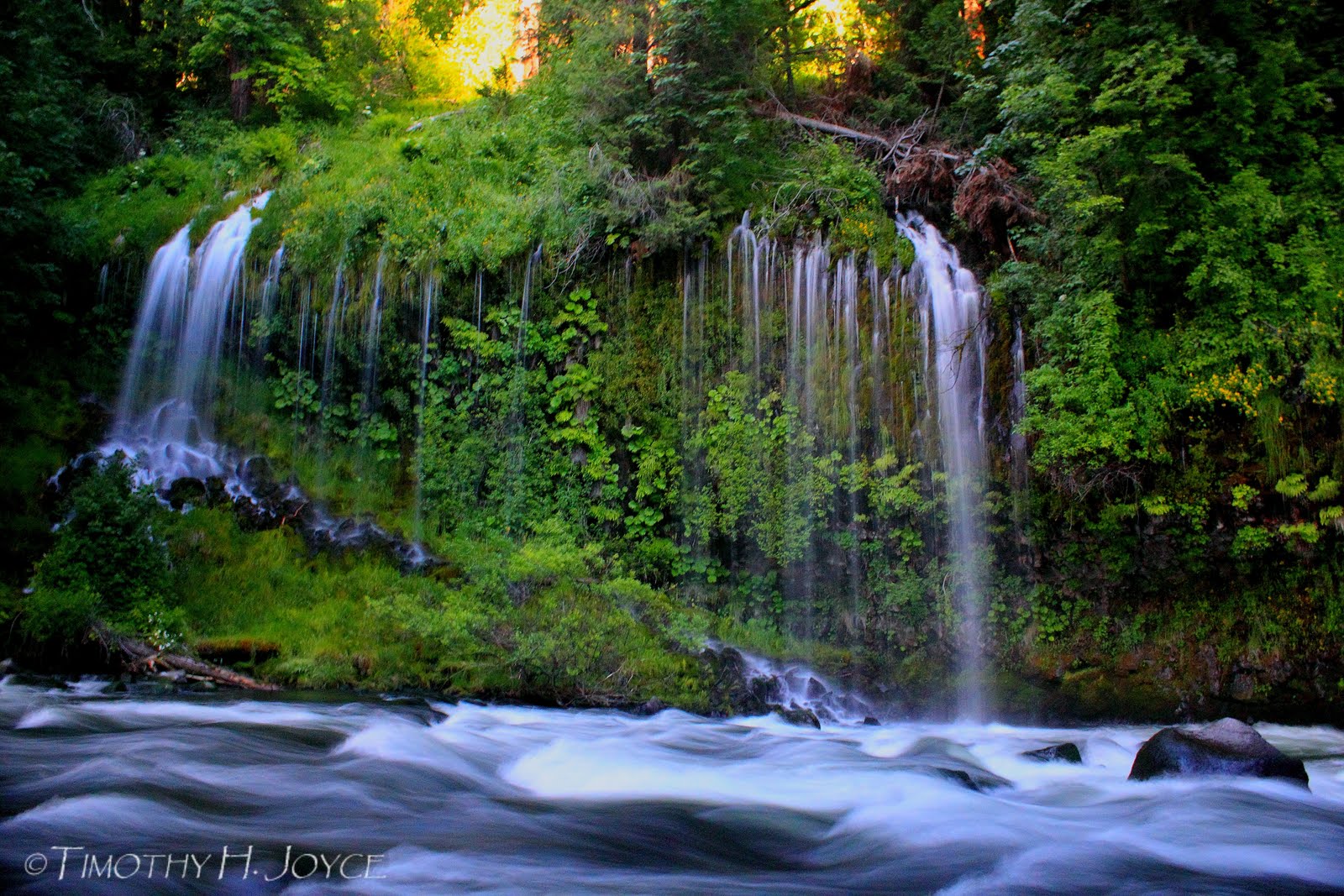 The Photographer's Journal: Mossbrae Falls, Dunsmuir, CA