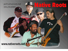 Love Reggae Music?  Then You'll Love Native Roots!