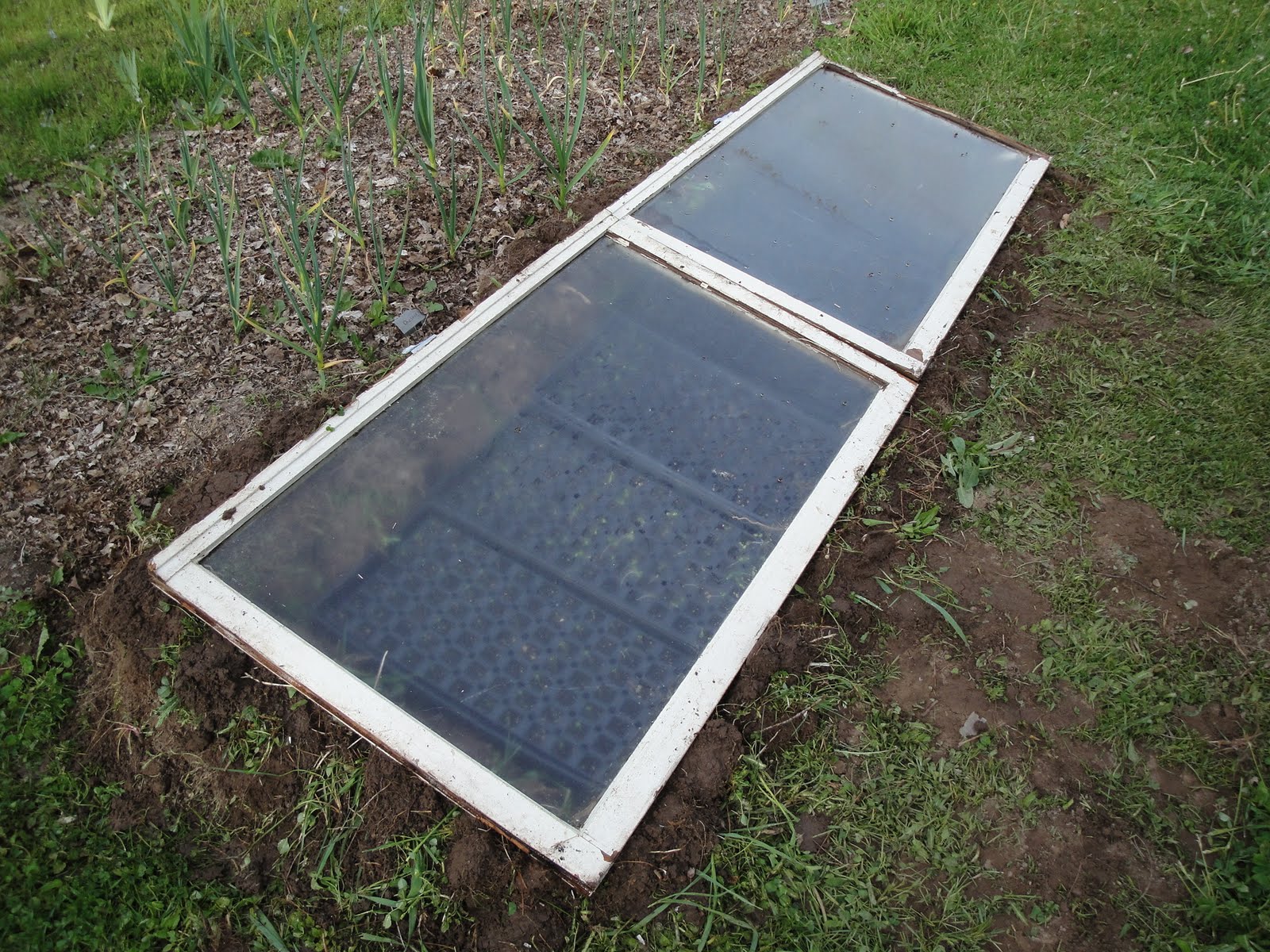 Live to Garden Raised Beds and Cold Frames