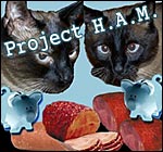 [projectham_150.jpg]