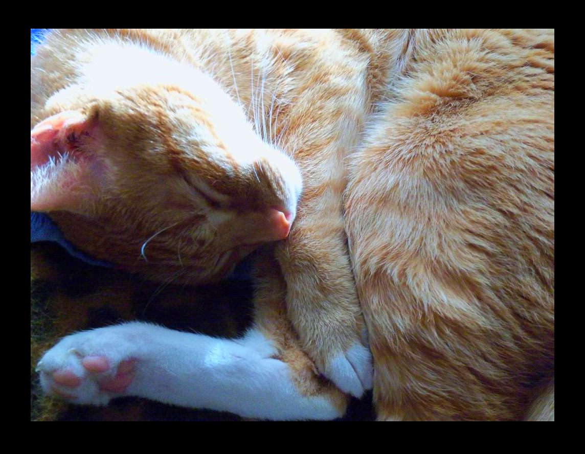 [EBAY+3586+a(Large).jpg]