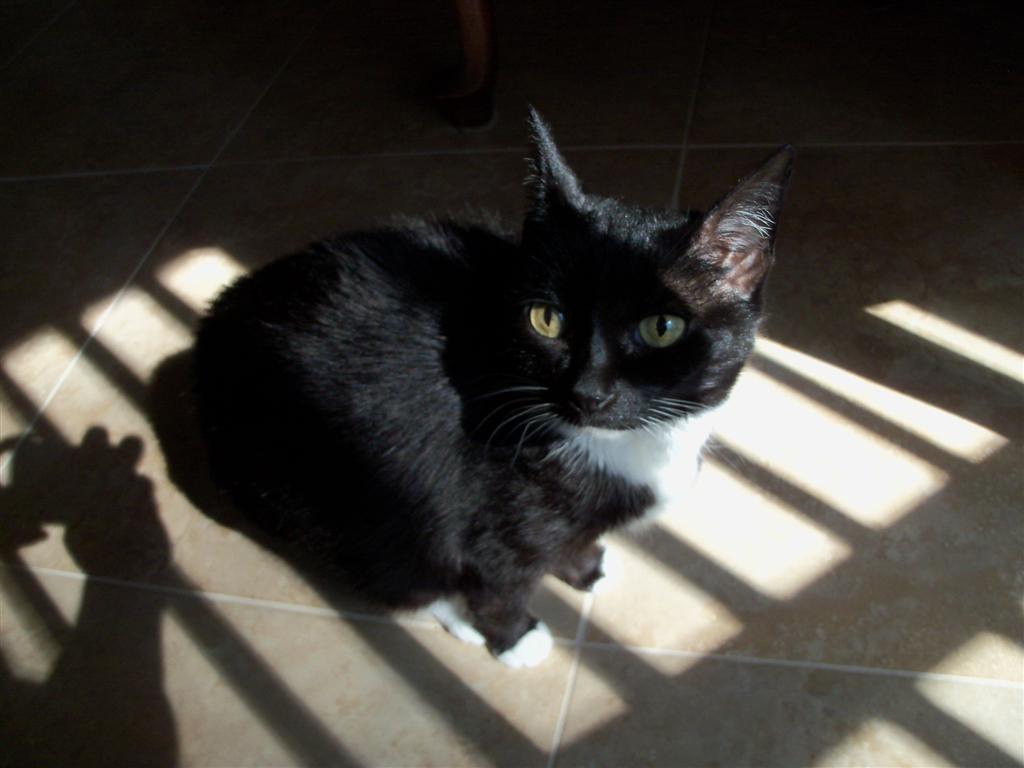 [EBAY+3573+(Large).jpg]