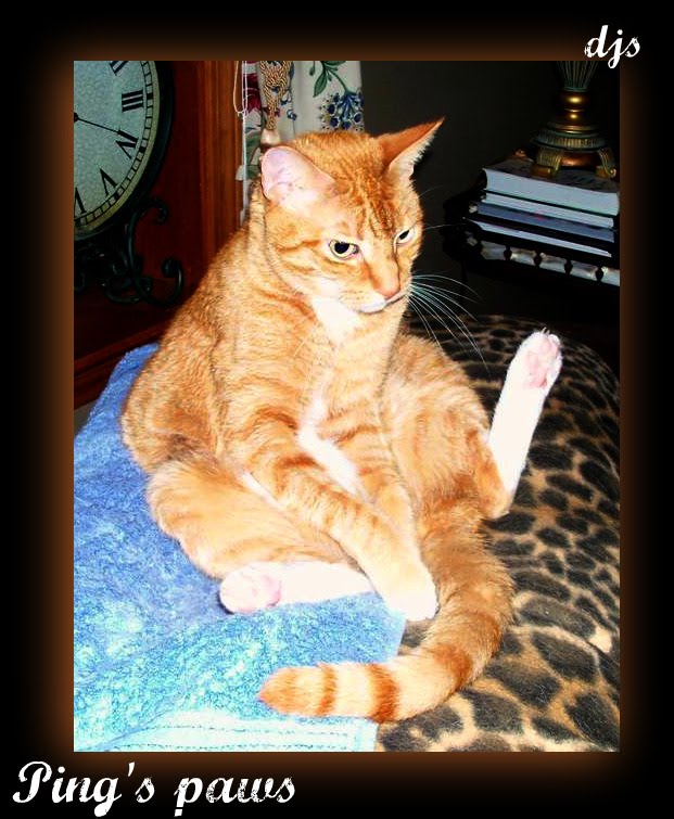 [EBAY+3966a+(Large).jpg]