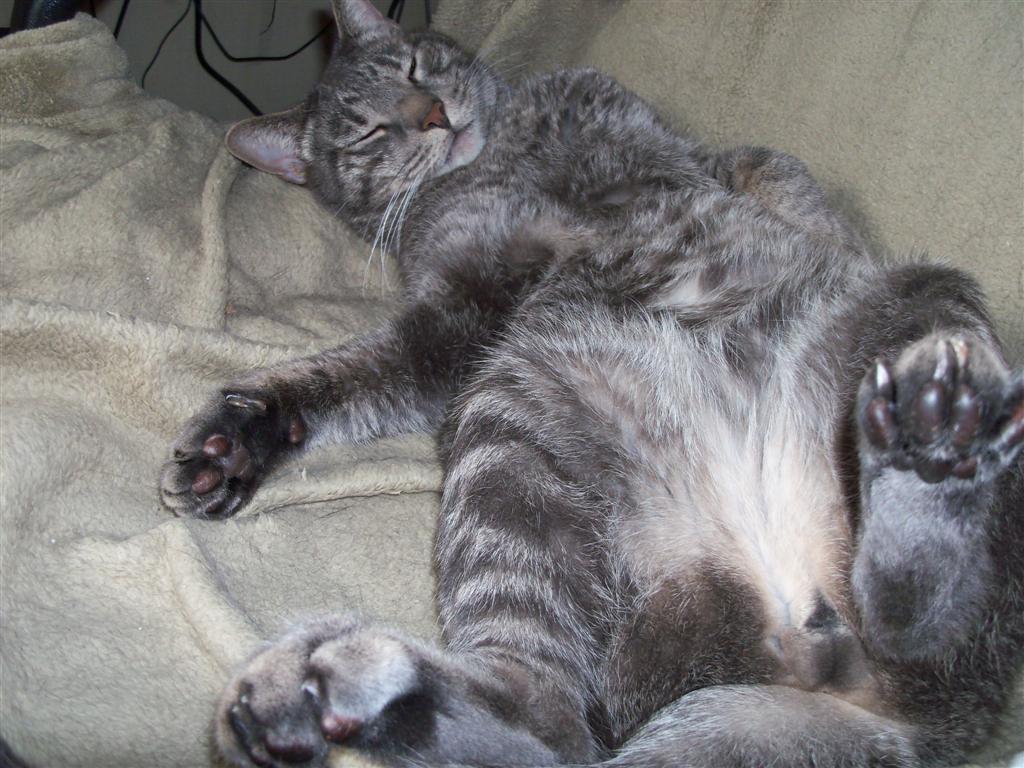 [EBAY+2370+(Large).jpg]