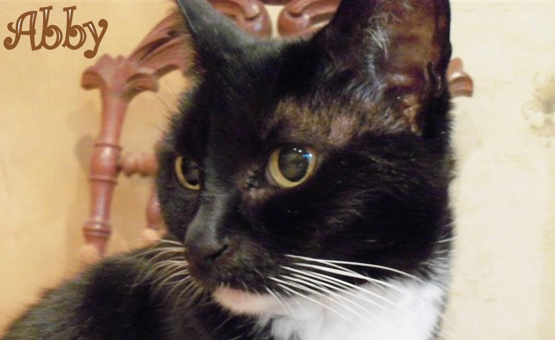 [EBAY+1443+(Large).jpg]