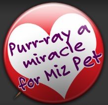 [MiracleforMizPet.jpg]